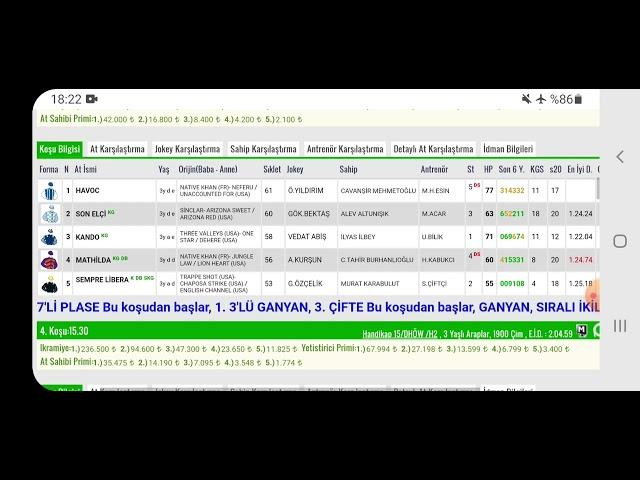 17 Kasım 2024 Pazar İstanbul at yarışı tahminleri - Sakarya koşusu kim kazanır