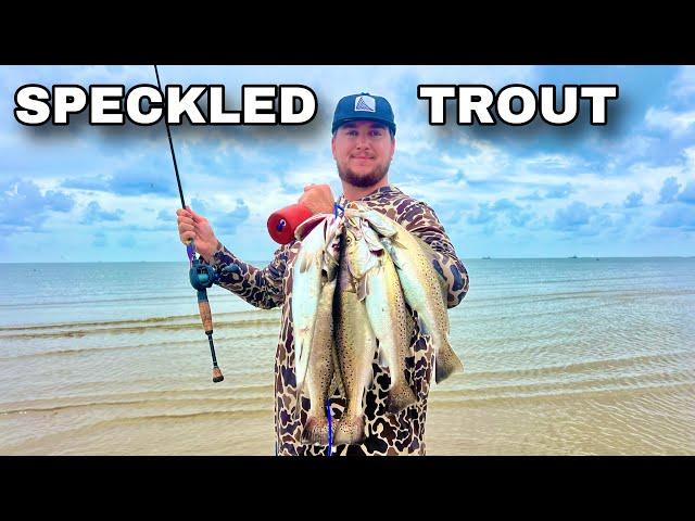 WADE FISHING for LIMITS of SPECKLED TROUT with TOPWATER LURES! (Catch & Cook)