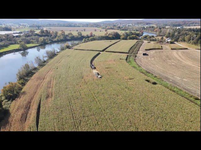 Mile long field! 32 t/ac corn? Corn bunk action and Birds Eye view!