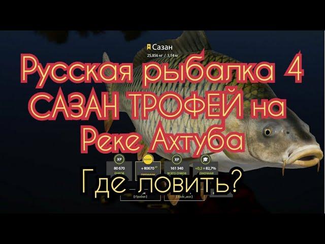 РР4. Где ловить Сазана ТРОФЕЙ на реке Ахтуба.