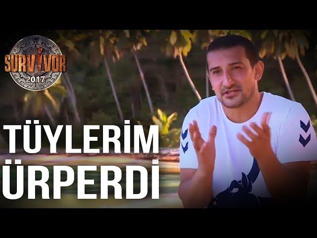 Kadıköy Boğası Survivor'a Damga Vurdu! | Serhat Akın'ın Survivor macerası  Survivor 2017