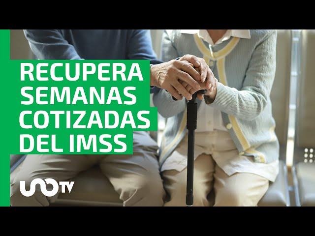 Recupera semanas cotizadas del IMSS