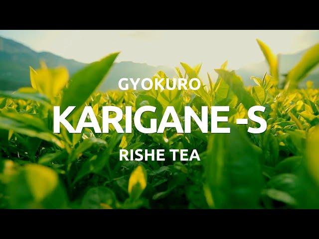 GYOKURO KARIGANE S