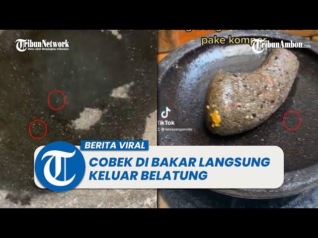 Viral Cobek Keluar Belatung Jika Dibakar, Ini penjelasan chef