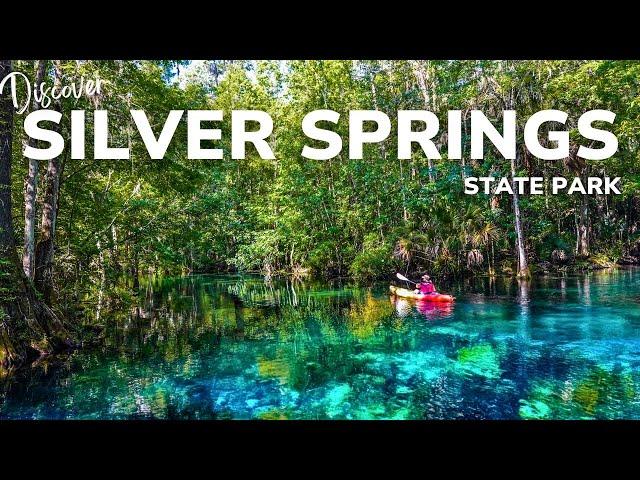 Silver Springs State Park: Explore The Largest Artesian Spring in the World!