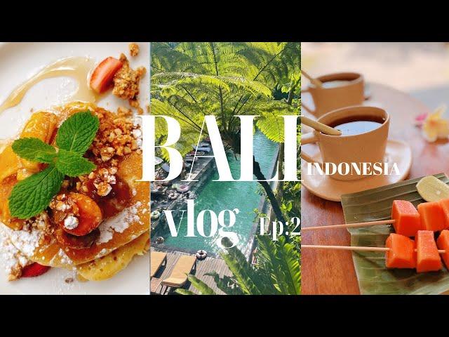 【BALI vlog:Ep2】バリ島ウブド滞在|コマネカ アット ビスマ|Komaneka At Bisma Ubud