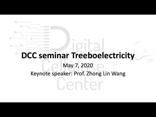 DCC seminar Treeboelectricity: keynote speaker Zhong Lin Wang