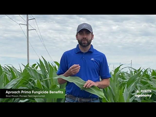 Aproach® Prima Fungicide: Benefits for Your Operation