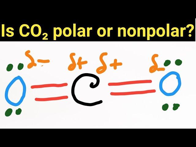 Is CO2(Carbon dioxide) Polar or Nonpolar?||Why is CO2 non-polar?