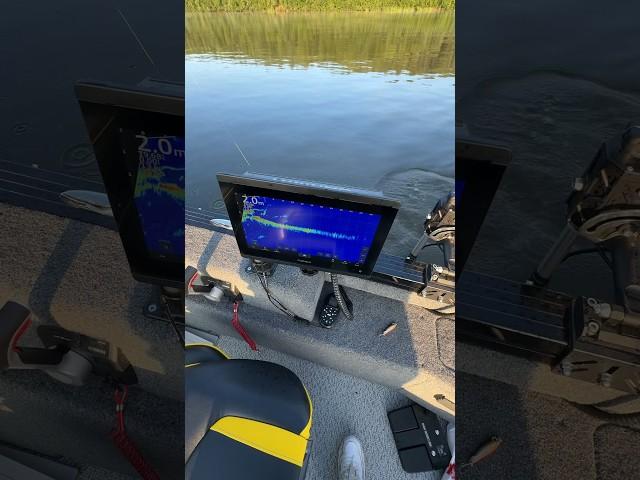 Полная версия  Рыболовное пари на рыбалки с гидом #рыбалка #рыбак #джиг #fishing #fishinglife #pike