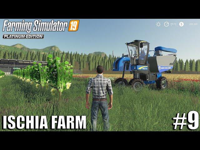 Harvesting White Grapes | Ischia Farm | Farming Simulator 19 | #9