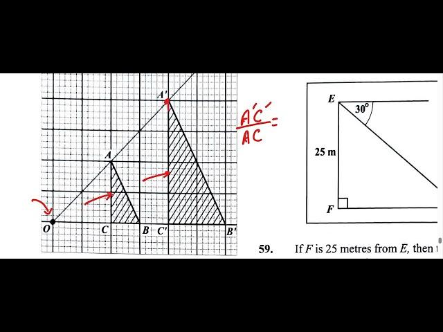 Question 58 | CXC CSEC June 2024 Multiple Choice SOLUTION