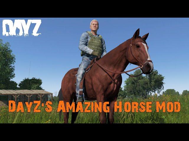 DayZ Horse Mod Is Finally Here And It's Amazing!!