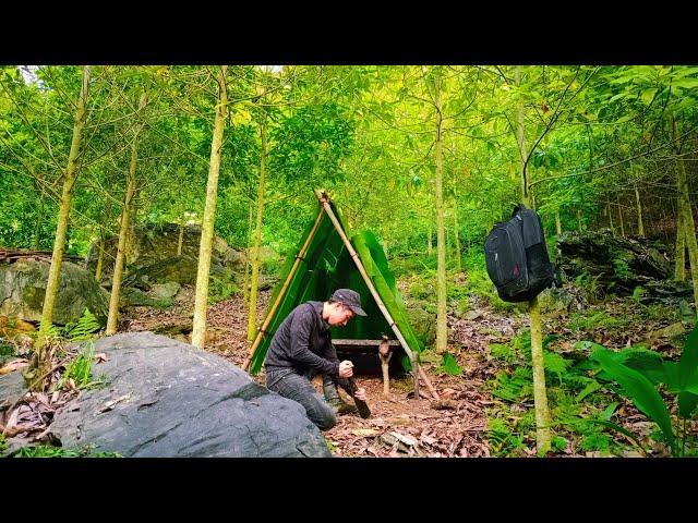 8 DAYS solo Survival Skills; (NO FOOD, NO WATER) Survival Shelter (Search Wild Food) Catch & Cook