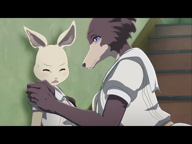 Beastars Haru Running From Juno | Haru Kidnapped | Haru Gets Kidnapped