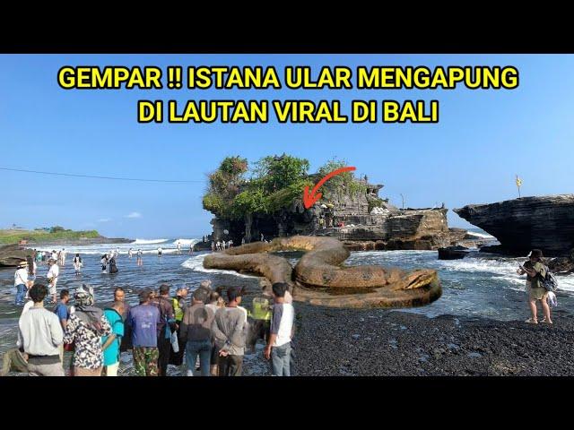 Warga Gempar!! Istana Ular Mengapung Di Lautan Viral Di Bali