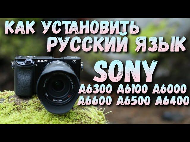 Как установить РУССКИЙ ЯЗЫК на SONY A6000\A6300\A6500 и другие [Openmemories tweak]