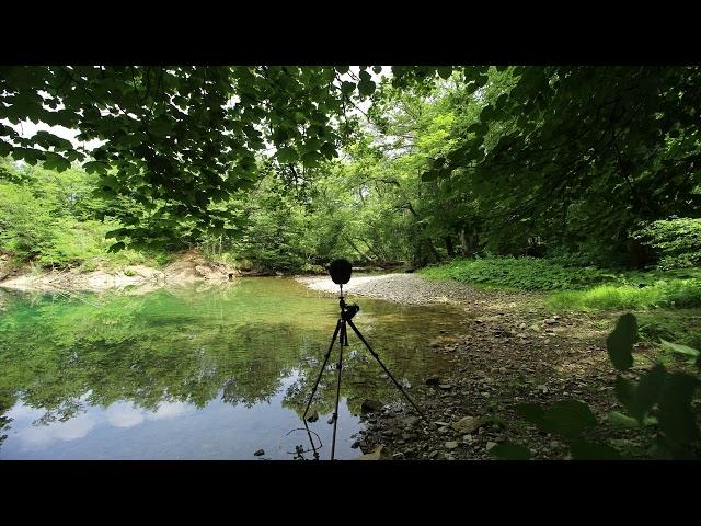 River soundscape, Acoustic ecology – Binaural stereo recording