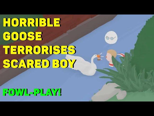 Horrible Goose Terrorises Scared Boy