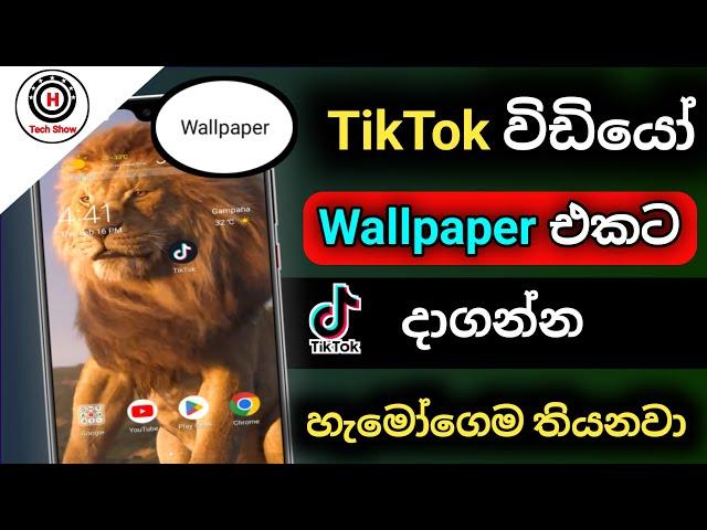 How to use TikTok Video On Wallpaper Android | How to use tiktok video as wallpaper on android