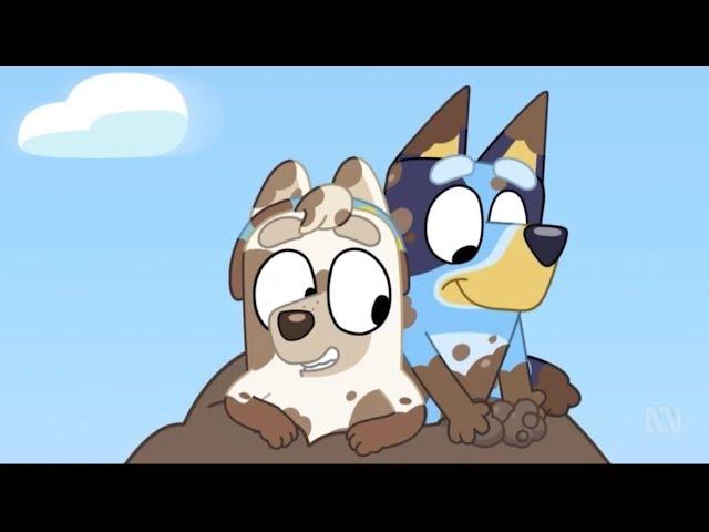 Bluey season 3 (B) | Dirt | Fun with DIRT!!  | Judo’s new look 