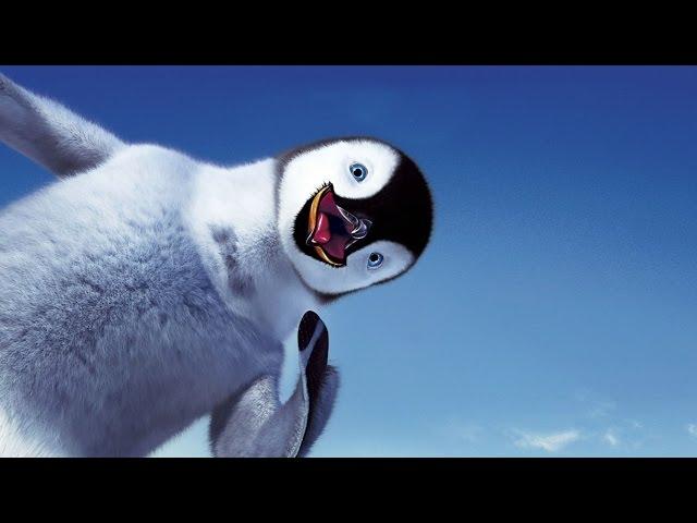 Смешные пингвины | Funny penguins | Подборка приколов