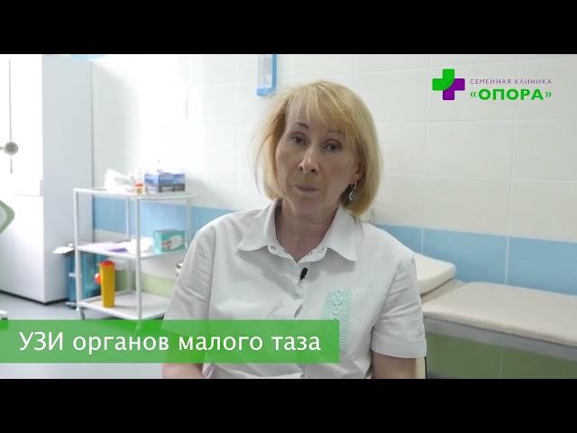 УЗИ органов малого таза