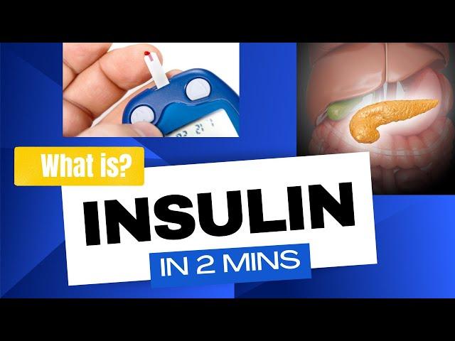 Insulin - How insulin works, in 2mins!