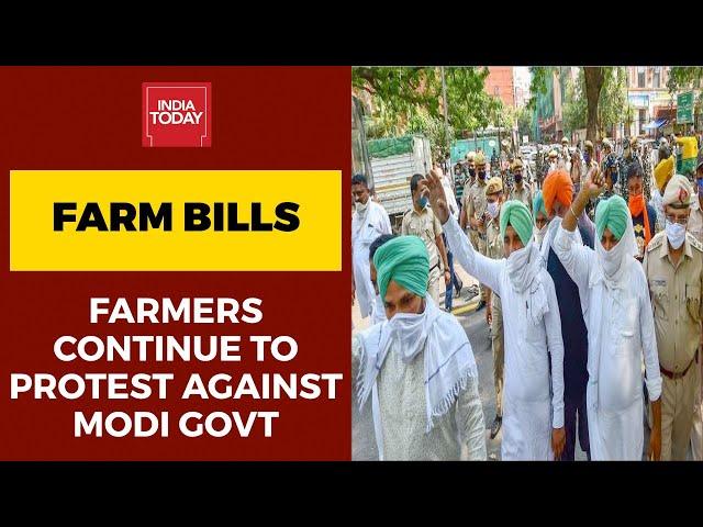 Farmers Continue To Stage Massive Protest Against PM Modi-Led Government Over Farm Bills