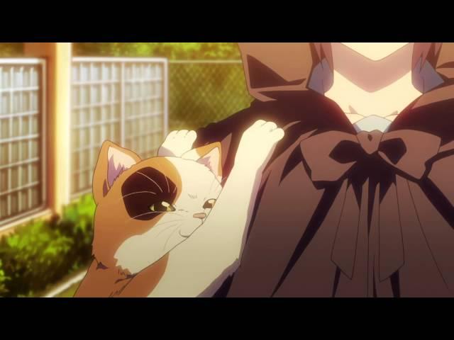 Suzumiya Haruhi no Yuuutsu: Kyon and Shamisen the Cat