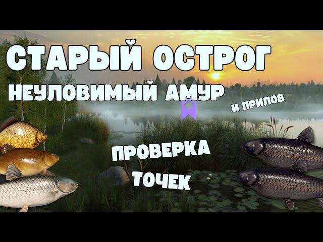 АМУР ЧЁРНЫЙ | ПРОВЕРКА ТОЧЕК | РУССКАЯ РЫБАЛКА 4 | РР4