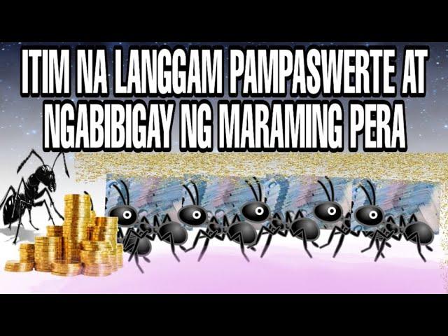 LANGGAM NA ITIM PAMPASWERTE AT MAGBIBIGAY NG LIMPAK LIMPAK NA PERA