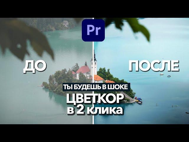 ЛУЧШАЯ ЦВЕТОКОРРЕКЦИЯ для ВИДЕО в Adobe Premiere Pro