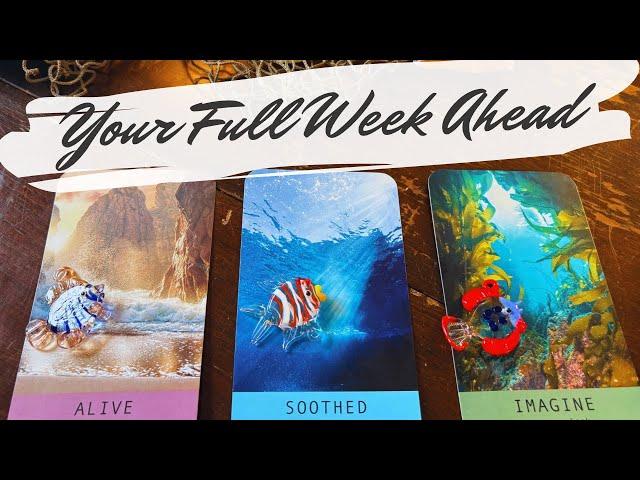 your in depth week ahead forecast  what will happen? Pick a Card