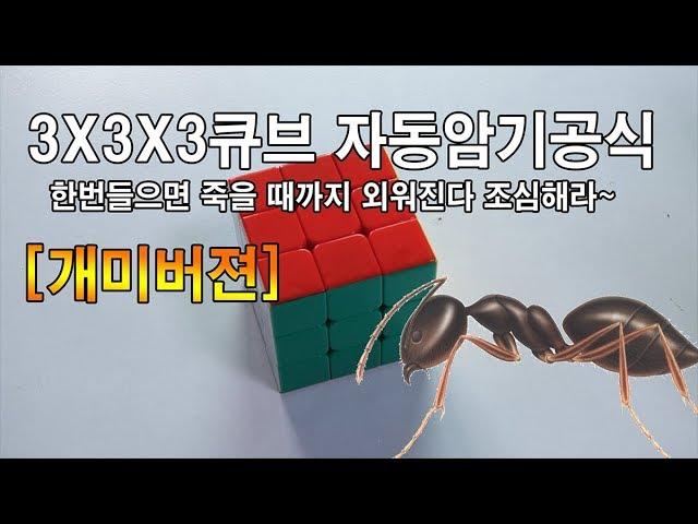 3X3x3큐브공식 한번들으면 외워짐 [개미버젼]