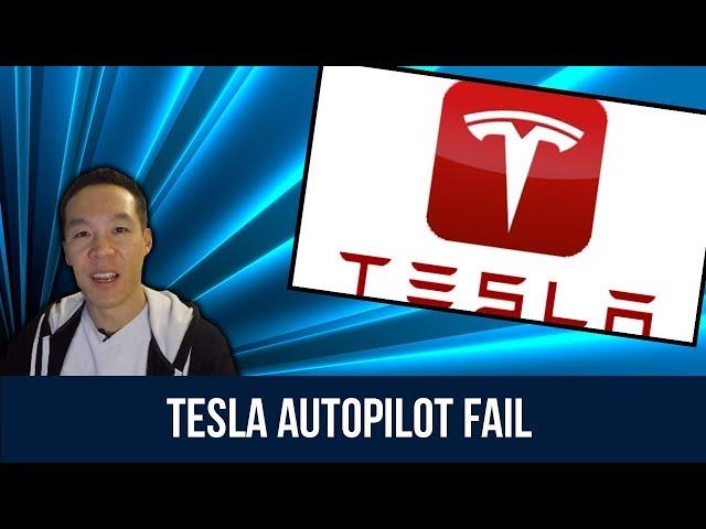 Tesla Autopilot Fail - Nukem384 News