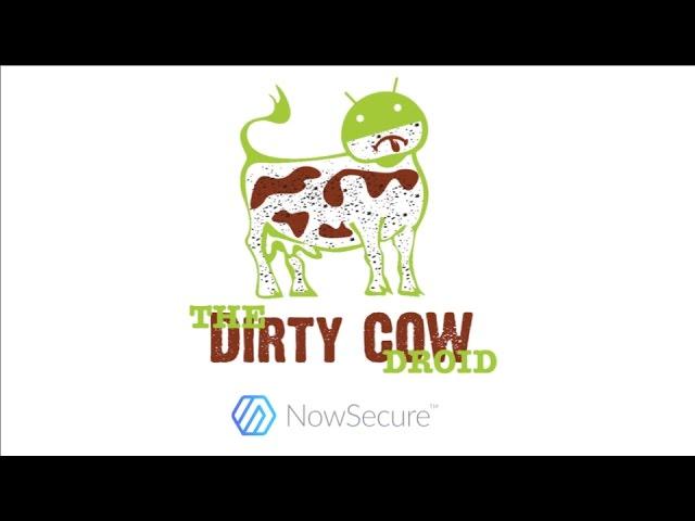 Exploiting Dirty COW on Android without root