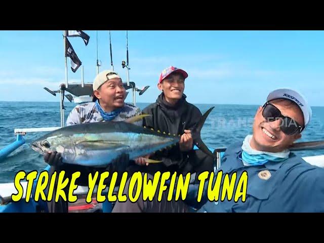 Battle Fishing Tuna di Perairan Banyuwangi | MANCING MANIA STRIKE BACK (04/05/24) Part 1