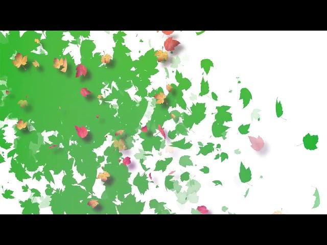 Green Screen Templates for Kinemaster | Birthday Green Screen Templates | Green Screen Tamples