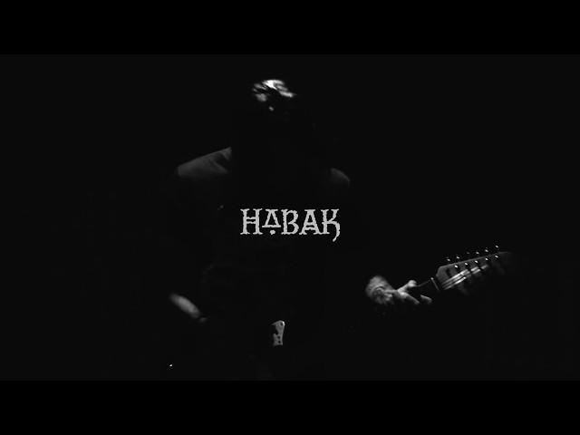 Habak - Araucaria