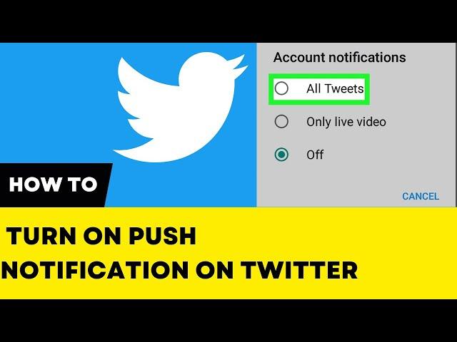 How to Turn On Push Notification on Twitter