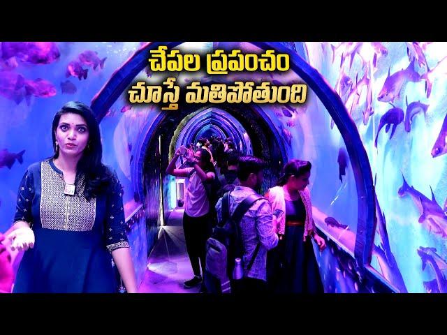 Underwater Aquarium Expo in Hyderabad | Ocean Fishes | Telugu Vlogs