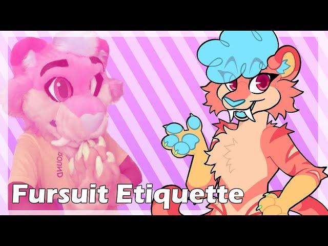 Fursuit Etiquette