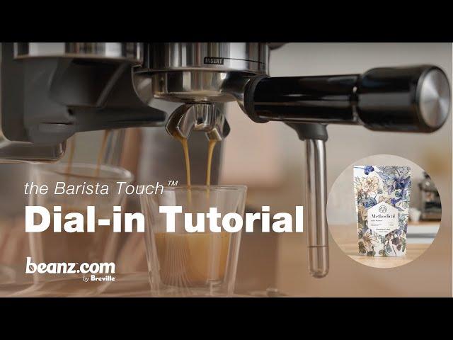 beanz.com | How to dial-in Belly Warmer espresso by Methodical & Barista Touch™ | Breville USA