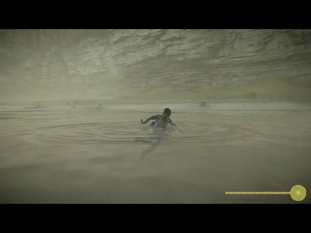 SHADOW OF THE COLOSSUS Olympic Diving