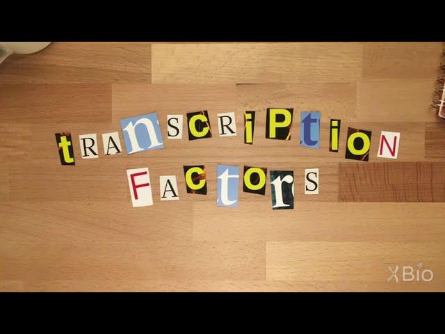 What are Transcription Factors?