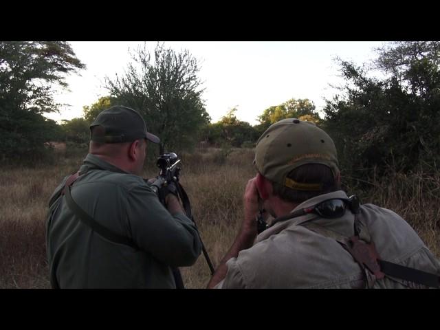 ОХОТА В АФРИКЕ, антилопа куду, (Hunting in Africa)