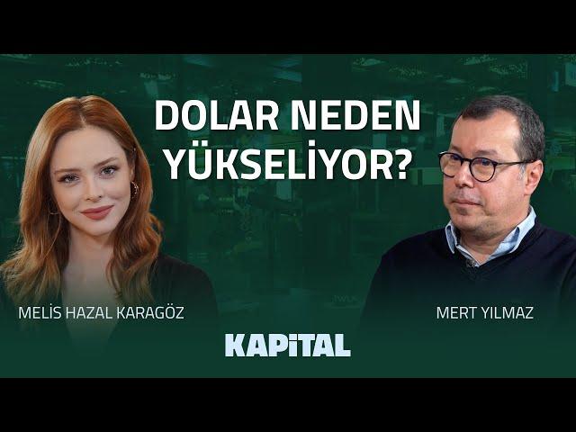 Faiz Kararları Sonrası Dolar ve Enflasyon Ne Olacak? | Dolar Ne Olur? | Dolar TL Yorumları