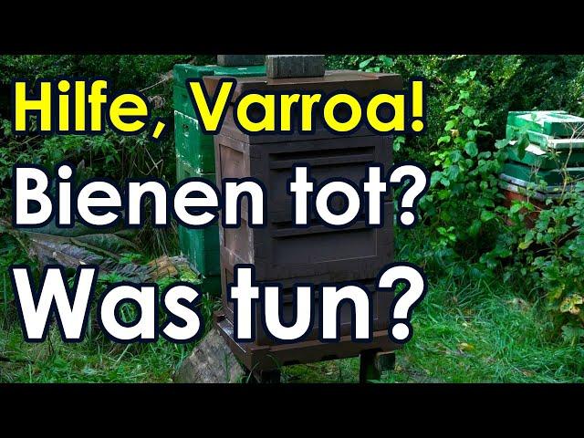 Hilfe Varroa, Bienen tot, was nun? Was tun bei akuter Varroa Gefahr? Ligustica vs. Dunkle Biene?