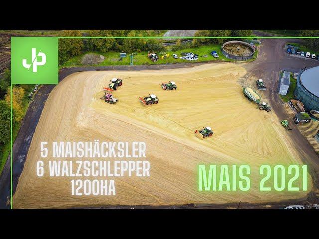 XXL Maissilo!! 4 Häckselketten, 1200ha! LU Blunk & Brockmann - Mais 2021 || JP Agrar